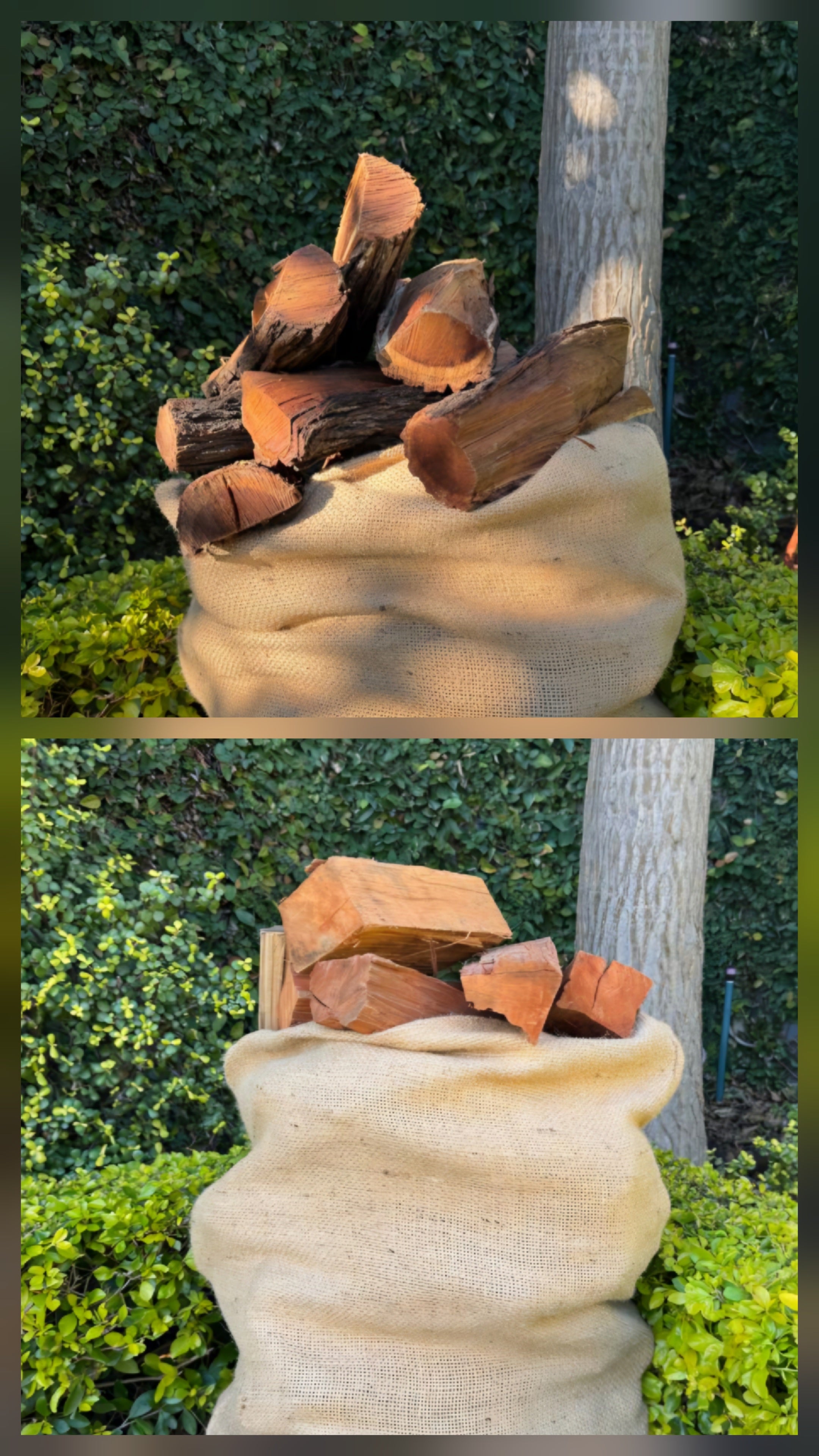 Serious Bundle