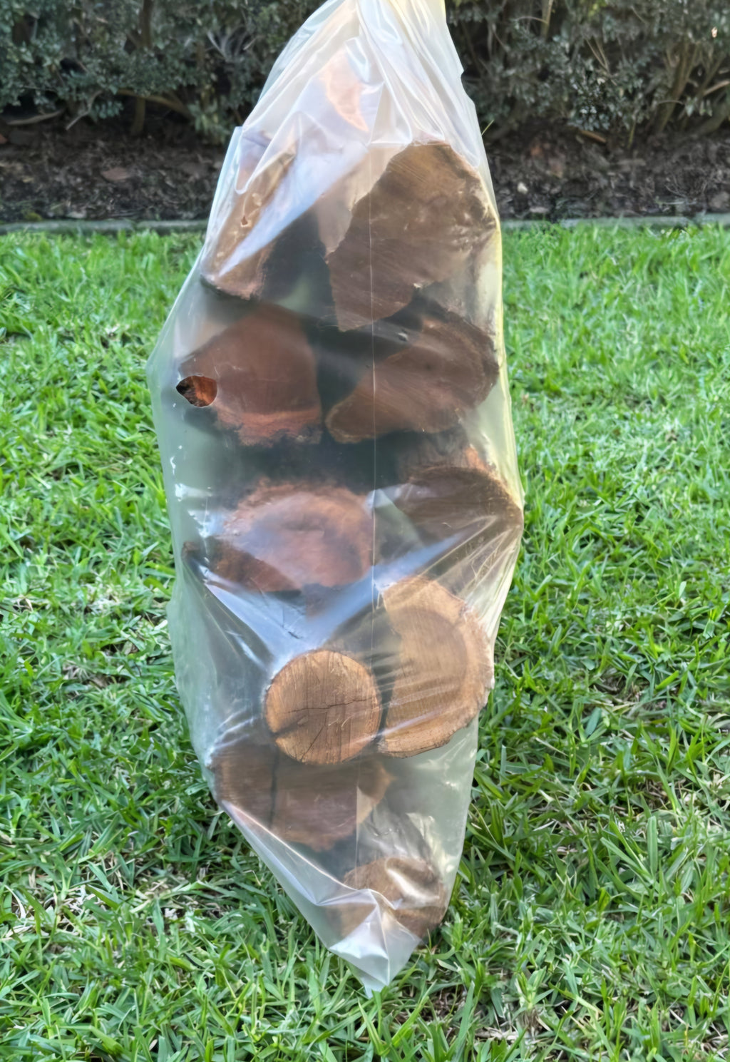 Rooikrans Braai Wood - Medium Bag