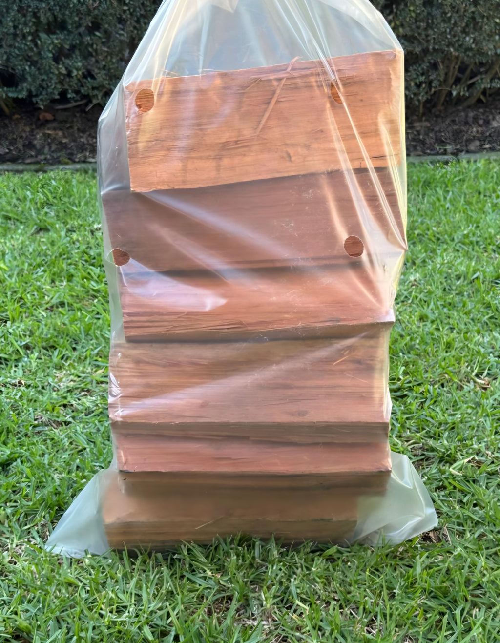 Bloekom Firewood