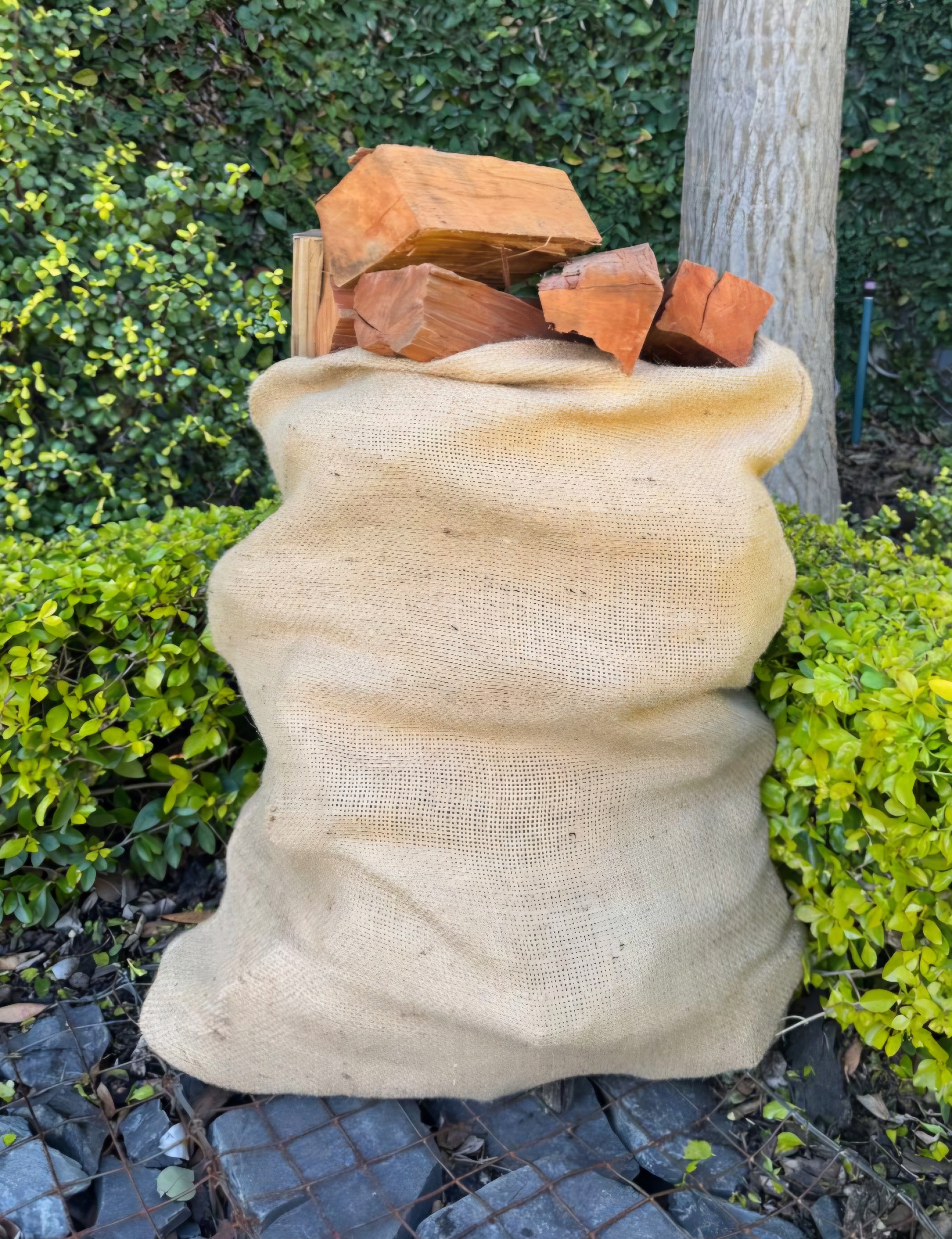 Bloekom Firewood